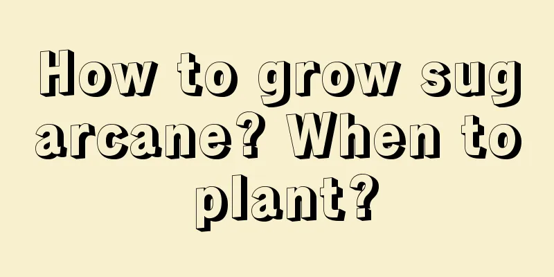 How to grow sugarcane? When to plant?