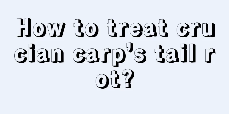 How to treat crucian carp’s tail rot?