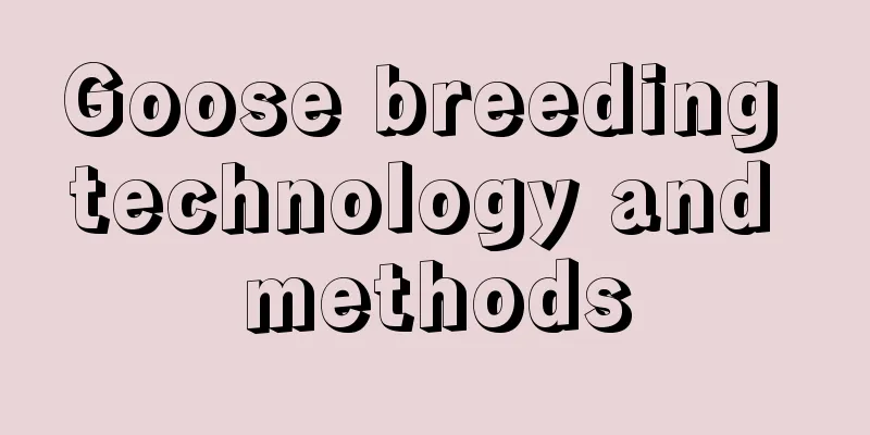 Goose breeding technology and methods