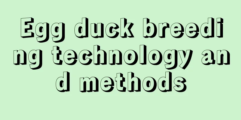 Egg duck breeding technology and methods