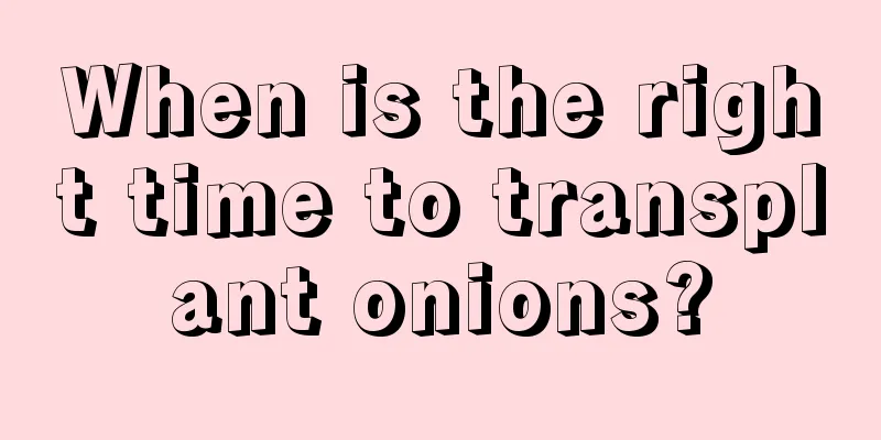 When is the right time to transplant onions?