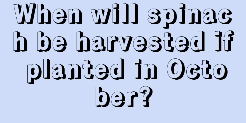 When will spinach be harvested if planted in October?