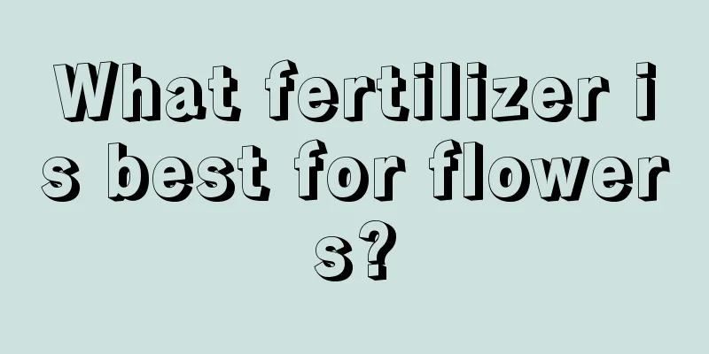 What fertilizer is best for flowers?