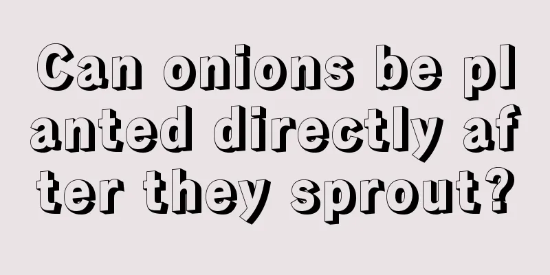 Can onions be planted directly after they sprout?