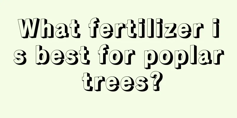 What fertilizer is best for poplar trees?