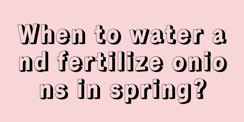 When to water and fertilize onions in spring?