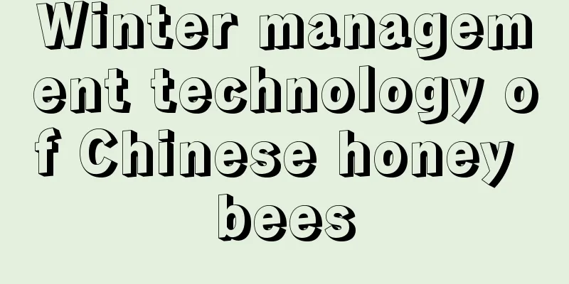 Winter management technology of Chinese honey bees