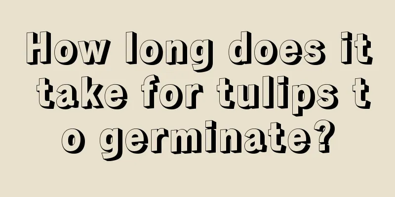 How long does it take for tulips to germinate?