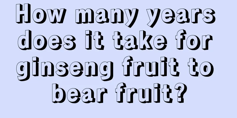 How many years does it take for ginseng fruit to bear fruit?