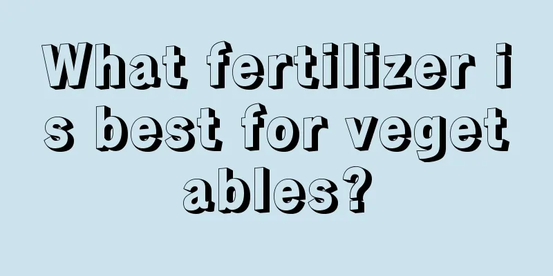 What fertilizer is best for vegetables?