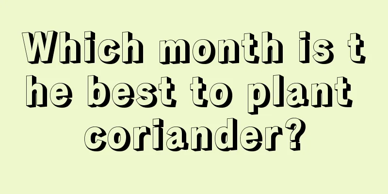 Which month is the best to plant coriander?