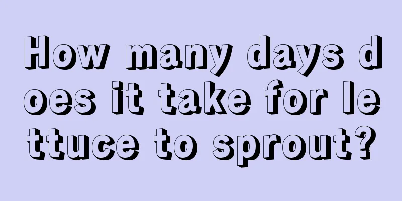 How many days does it take for lettuce to sprout?