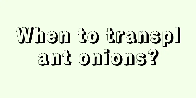 When to transplant onions?