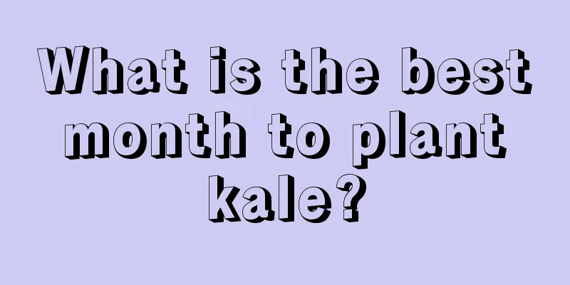 What is the best month to plant kale?