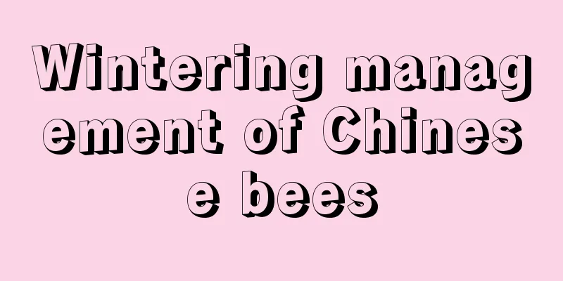 Wintering management of Chinese bees