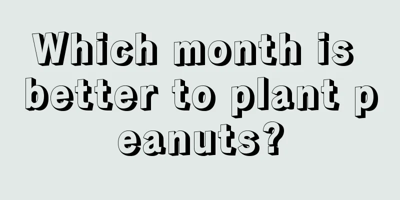 Which month is better to plant peanuts?