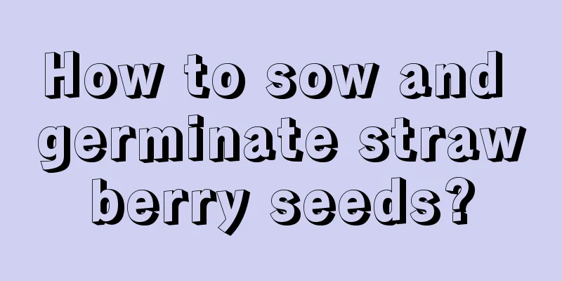 How to sow and germinate strawberry seeds?