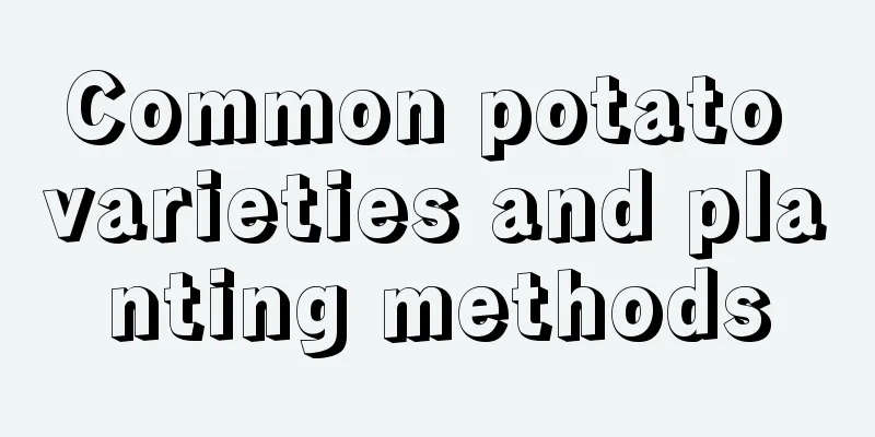 Common potato varieties and planting methods