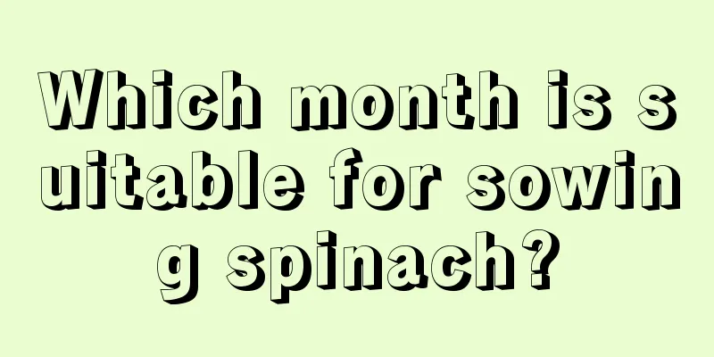 Which month is suitable for sowing spinach?