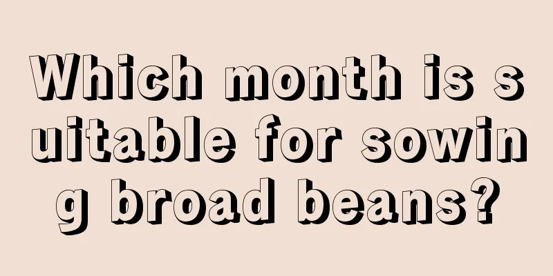 Which month is suitable for sowing broad beans?