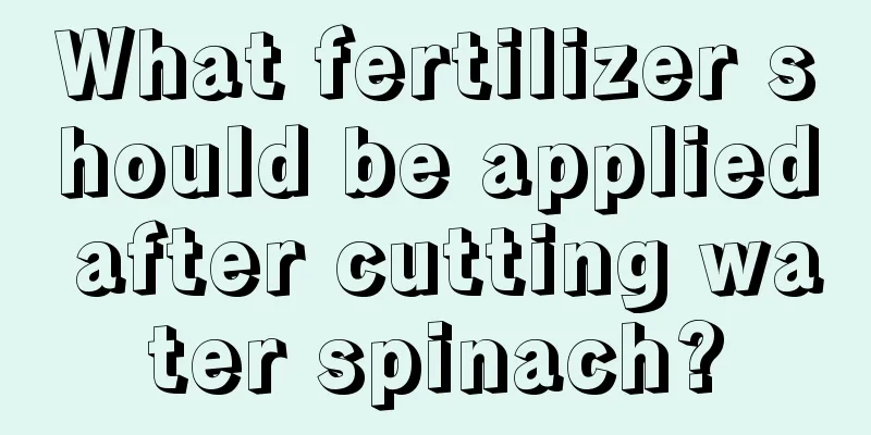 What fertilizer should be applied after cutting water spinach?