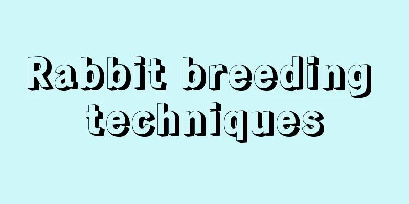 Rabbit breeding techniques