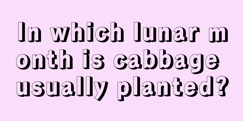 In which lunar month is cabbage usually planted?