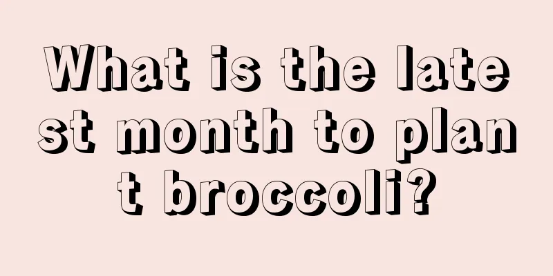 What is the latest month to plant broccoli?