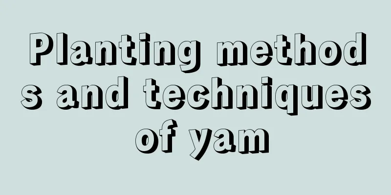 Planting methods and techniques of yam