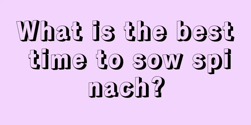 What is the best time to sow spinach?