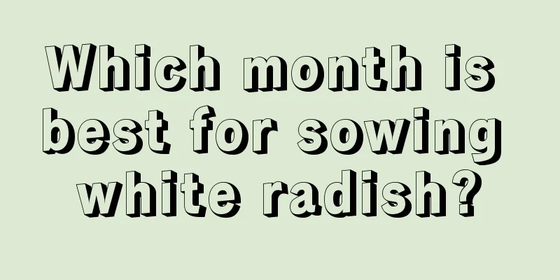 Which month is best for sowing white radish?