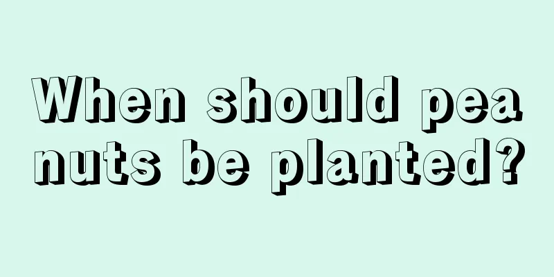 When should peanuts be planted?