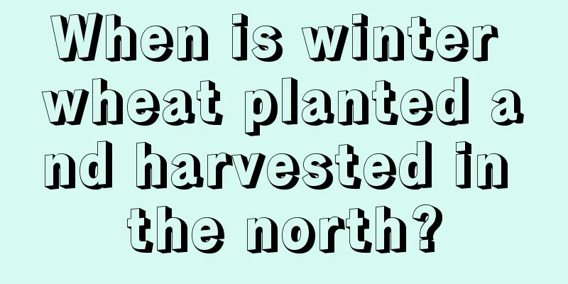 When is winter wheat planted and harvested in the north?