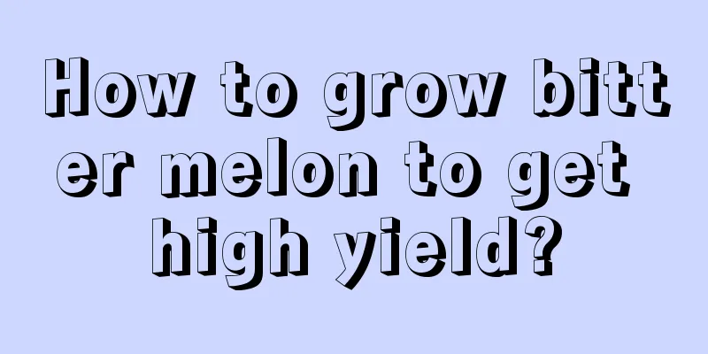 How to grow bitter melon to get high yield?