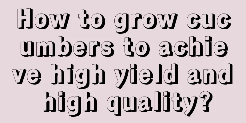 How to grow cucumbers to achieve high yield and high quality?