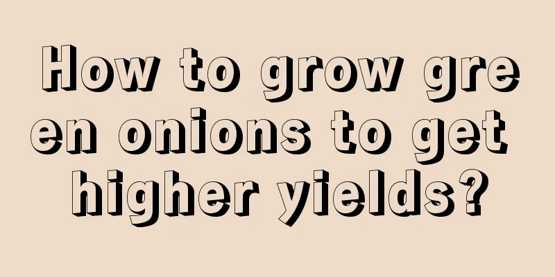 How to grow green onions to get higher yields?