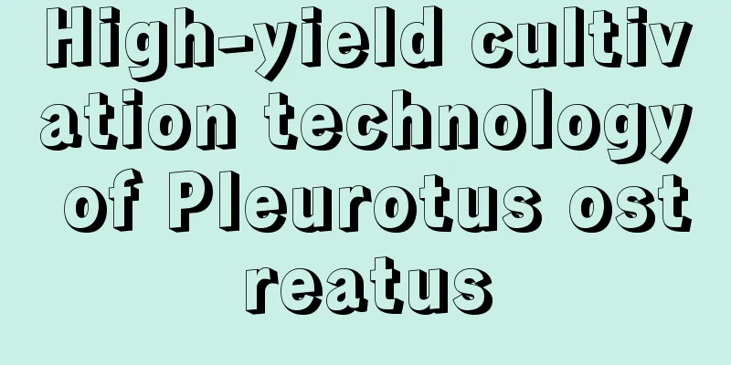 High-yield cultivation technology of Pleurotus ostreatus