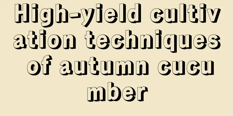 High-yield cultivation techniques of autumn cucumber