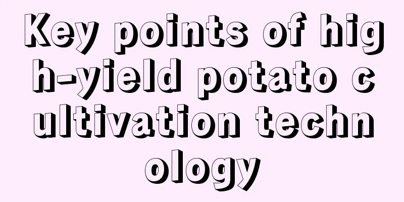 Key points of high-yield potato cultivation technology