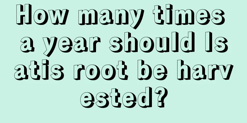 How many times a year should Isatis root be harvested?