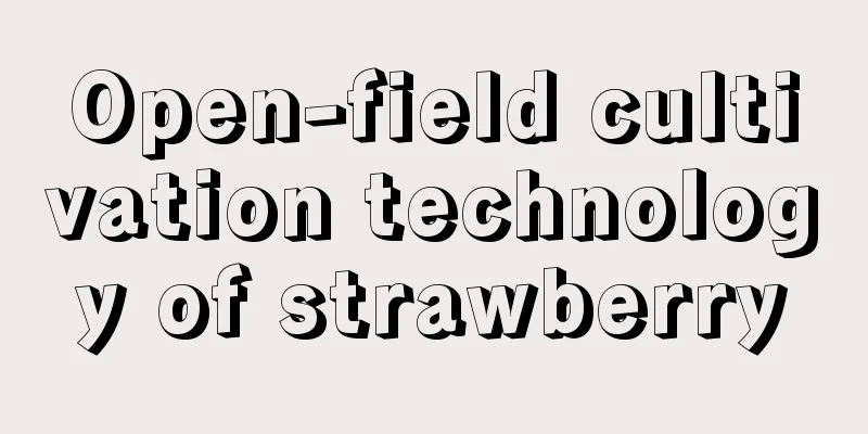 Open-field cultivation technology of strawberry