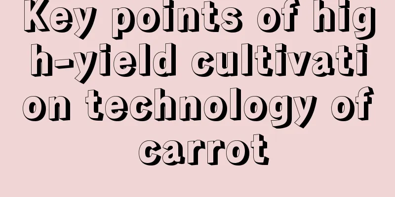 Key points of high-yield cultivation technology of carrot