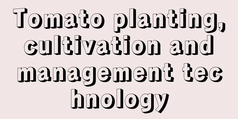 Tomato planting, cultivation and management technology