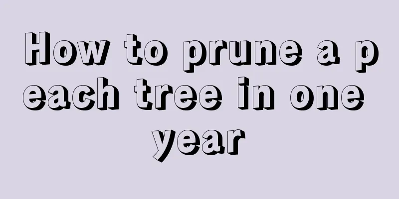 How to prune a peach tree in one year