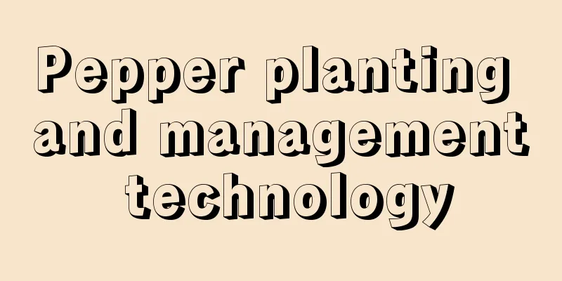 Pepper planting and management technology