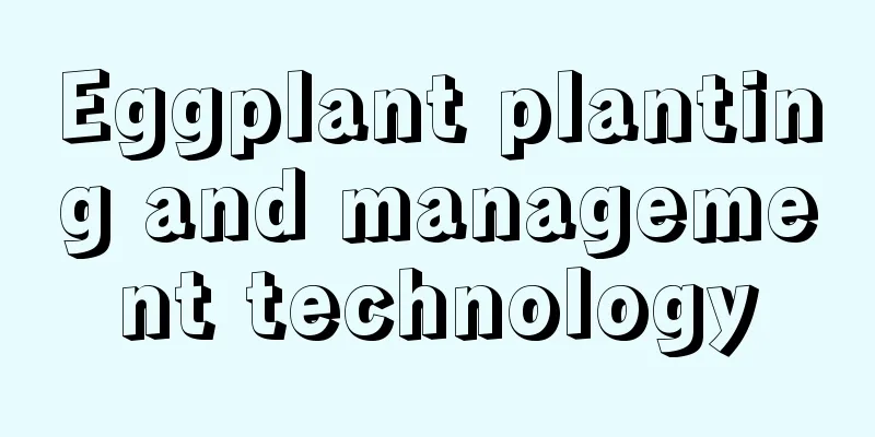 Eggplant planting and management technology