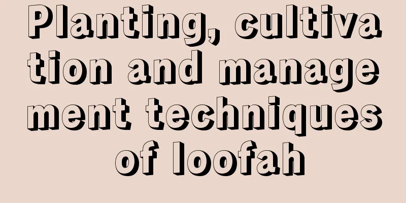 Planting, cultivation and management techniques of loofah