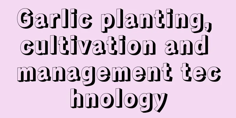 Garlic planting, cultivation and management technology