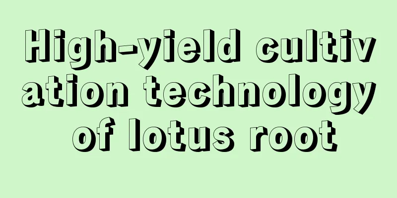 High-yield cultivation technology of lotus root