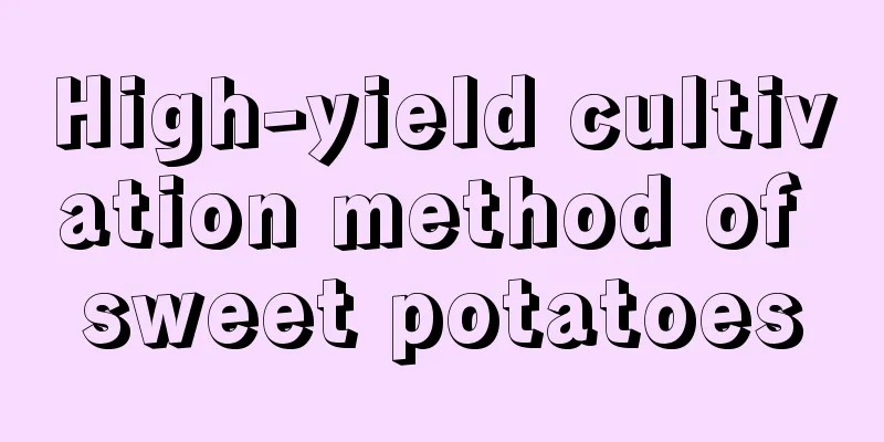 High-yield cultivation method of sweet potatoes